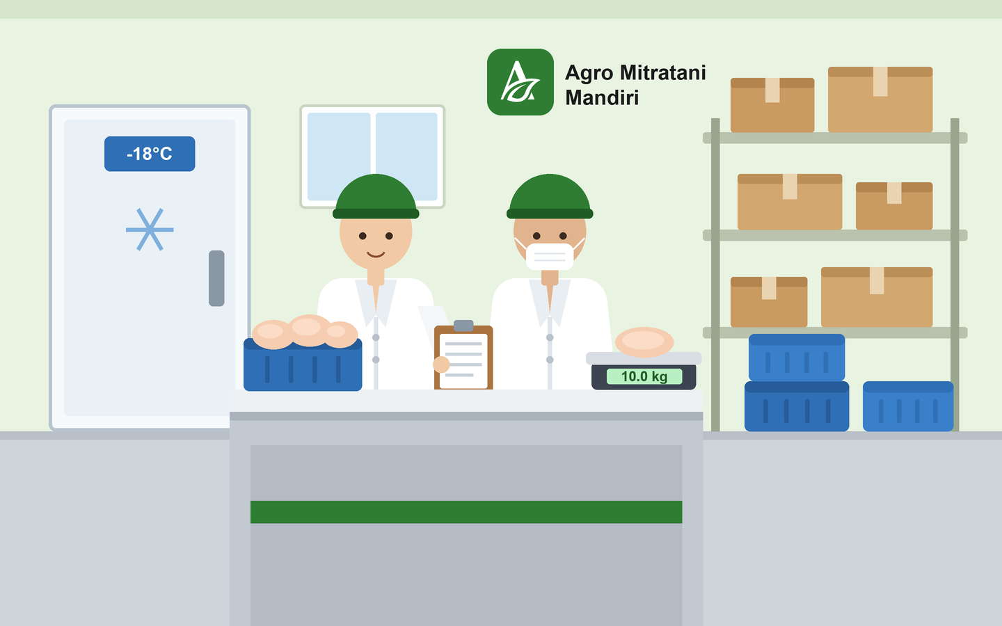 Ilustrasi petugas gudang Agro Mitratani Mandiri memeriksa dan menimbang ayam